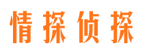 内黄市婚外情取证